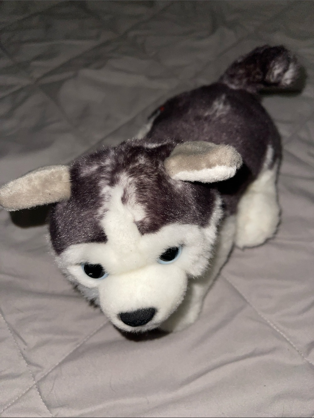 Aurora Miyoni Husky Plush ⢠Realistic Gray & White Dog ⢠Stuffed Animal